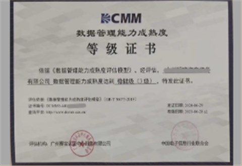 DCMM數(shù)據管理能力成熟度評估